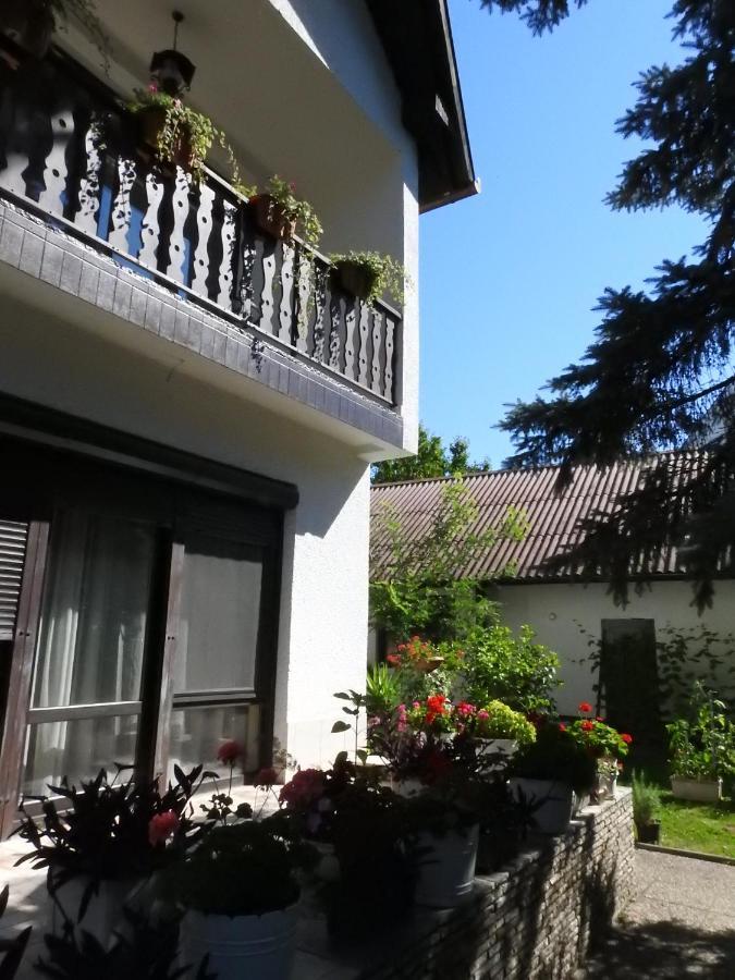 Haus Gizella Hotel Harkány Exterior foto